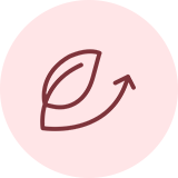 svg6